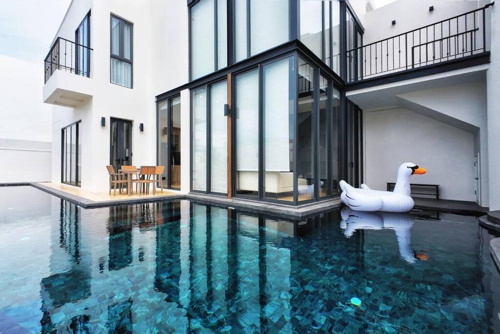 Pupae Pool Inara *